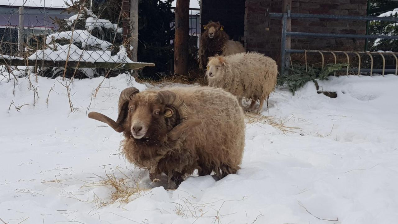 Zimmervermietung Zahn Baalberge Bagian luar foto