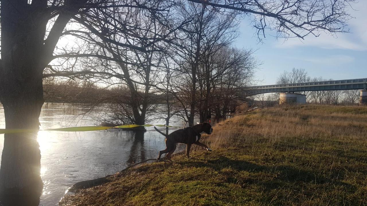 Zimmervermietung Zahn Baalberge Bagian luar foto