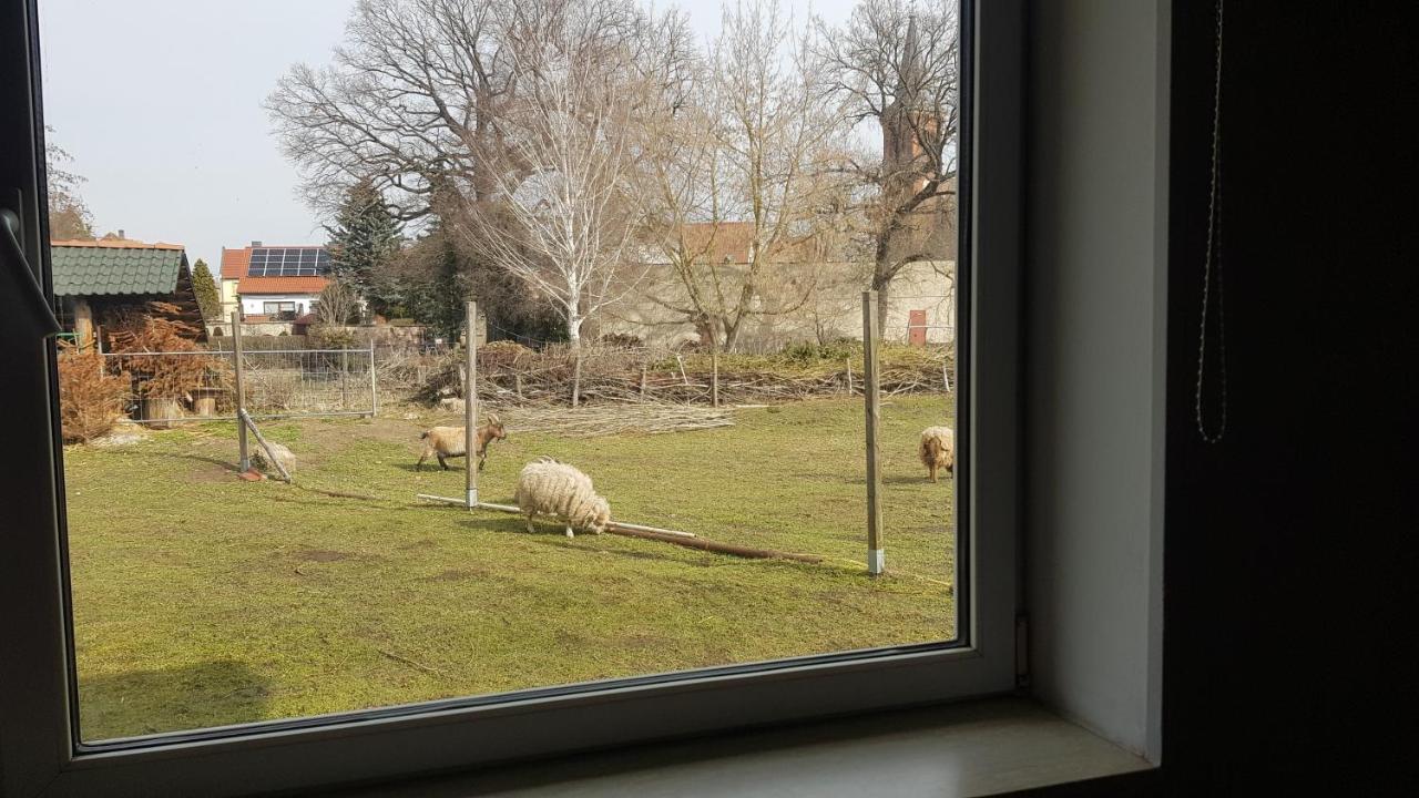 Zimmervermietung Zahn Baalberge Bagian luar foto