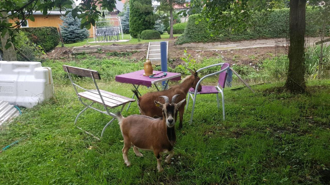 Zimmervermietung Zahn Baalberge Bagian luar foto