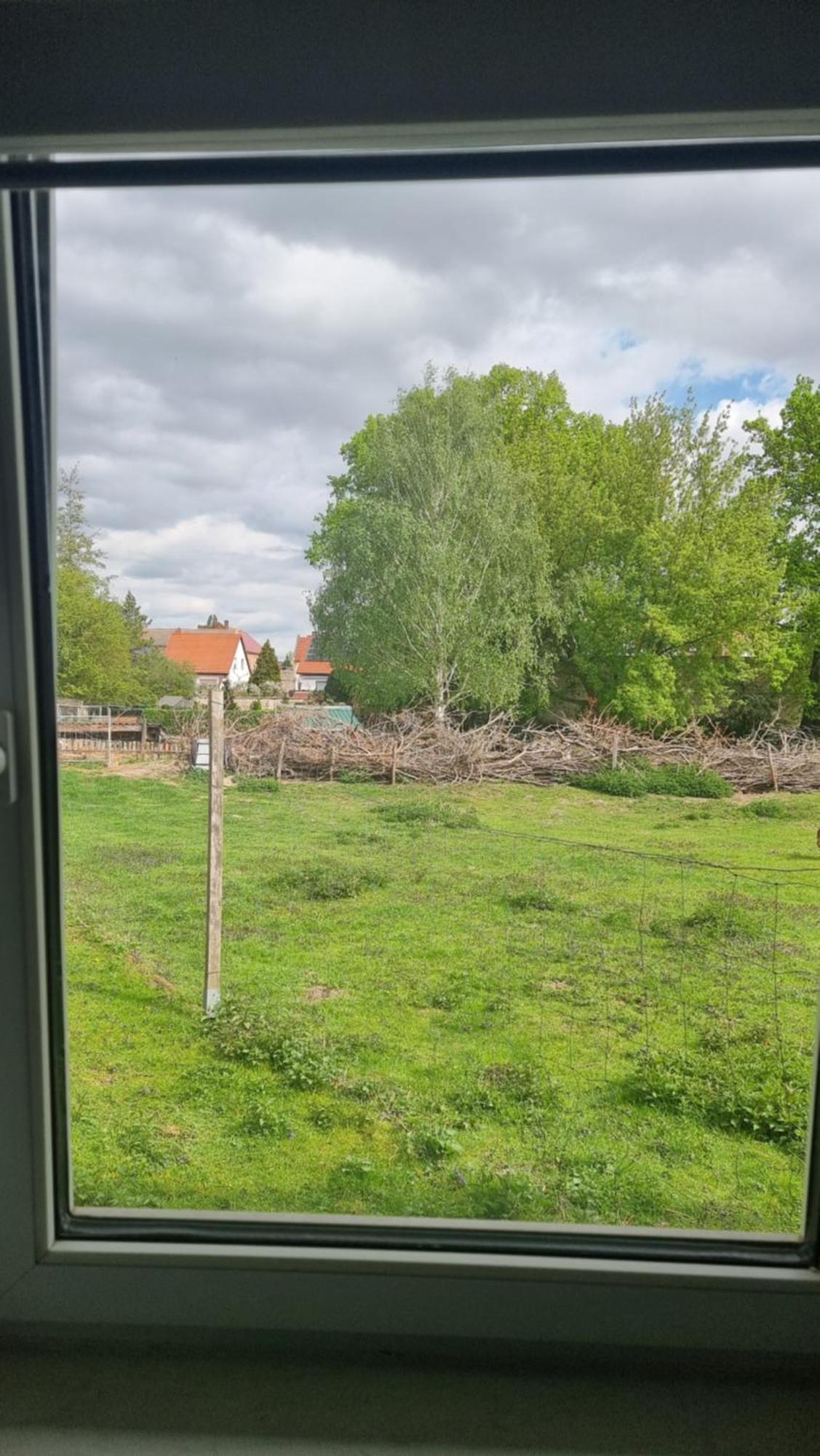 Zimmervermietung Zahn Baalberge Bagian luar foto